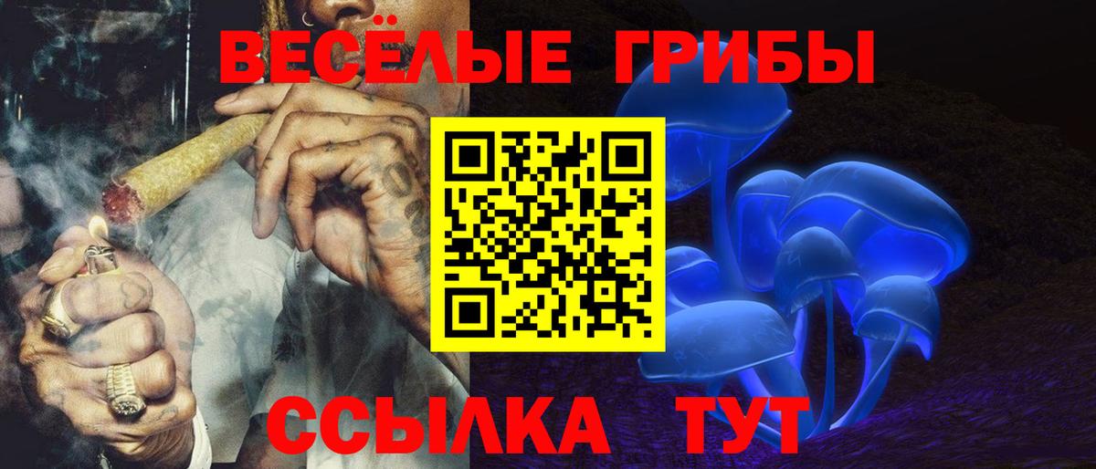 Псилоцибиновые грибы мухоморы  Вход с VPN  Псилоцибиновые грибы Psilocybe  Артём 