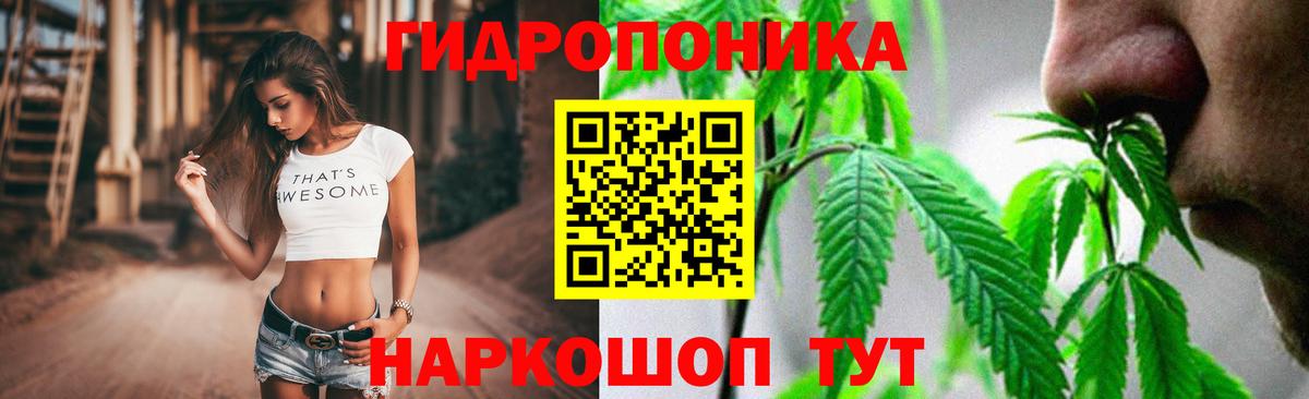 Шишки марихуана ГИДРОПОН Артём